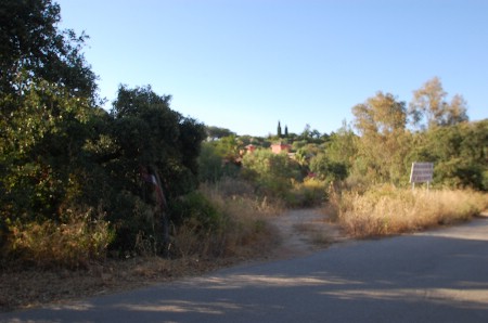 P5390 Perfectly located plot in Elviria (1)