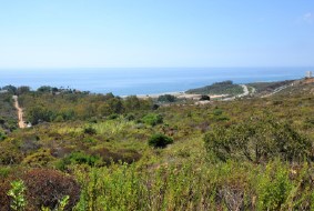 vistas campo